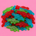 Dinosaure (100g)